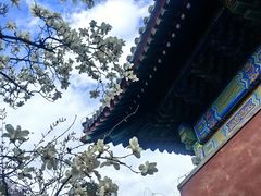 -红螺寺