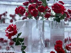 -万达广场(龙湖店)