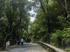 -灵岩山风景区