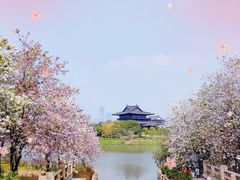 -海珠湖公园