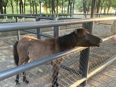 -长白岛森林公园