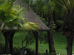 -海南清水湾莱佛士酒店