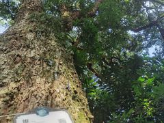 -飞霞风景名胜区