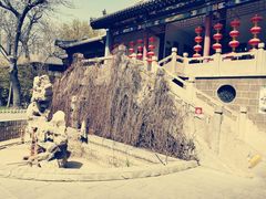 -碑林公园