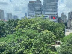 -虾饺妹·酒家(海珠广场店)