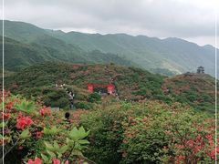 -大围山国家森林公园