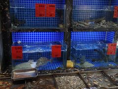水产区-浩家苑菜馆(汉口路店)