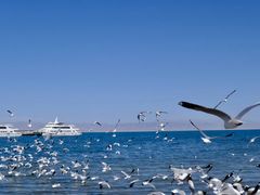 -青海湖国家重点风景名胜区
