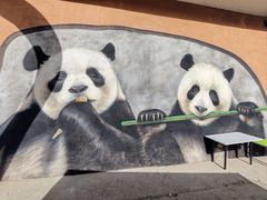 -栾川竹海野生动物园