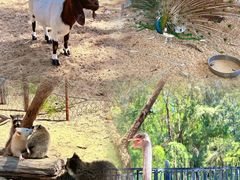 -六鳌翡翠湾滨海度假景区