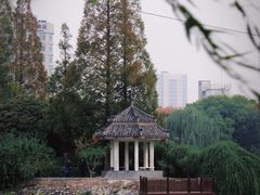 -紫荆山公园