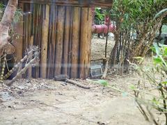 -熊猫自助餐厅.萌趣城堡(长隆熊猫酒店)