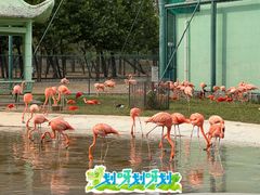 -秦皇岛野生动物园
