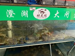 水产区-阳澄湖大闸蟹·琼灵阁牌品牌连锁(吴中总店)