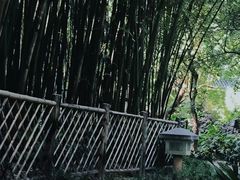 -广州兰圃