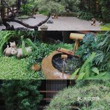 成都探店|仿佛与世隔绝的小京都,超出片🍵