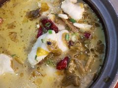 -周鱼小馆石锅酸菜鱼(活力汇店)