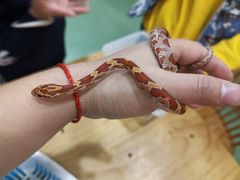 -藦茜花园宠物主题亲子互动体验馆(国顺东路店)