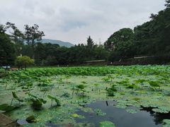-西南交通大学(峨眉校区)