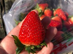 -中山美食街
