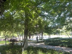 -范蠡湖公园