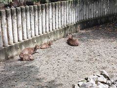 -成都动物园