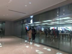 -Apple零售店(深圳益田假日广场店)