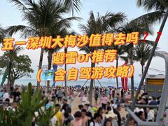 -大梅沙海滨公园