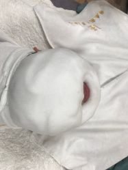 -赫本轻奢美颜中心