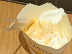 姜撞脆椰椰麦旋风-麦当劳(花城大道华穗路店)