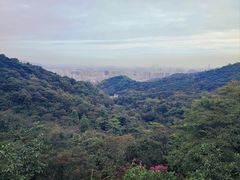 -广州市白云山风景名胜区
