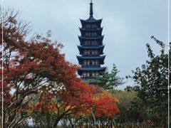 -上海方塔园