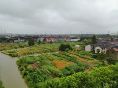 -上海第二工业大学(金海路校区)