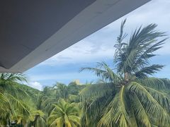 -日落吧·海景咖啡厅·餐酒吧·鸡尾酒·下午茶·乐队表演·浪漫夕阳·三亚文华东方酒店