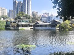 -荔湾湖公园