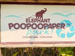 -大象粑粑造纸公园