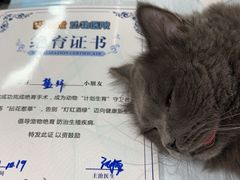 -达爱动物医院·犬猫分区·CT·复杂眼科(远洋山水分院)