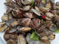 辣炒花蛤-宾朋海鲜特色美食餐厅·纯手工鲅鱼水饺(兴海路店)