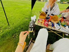 -圣露庄园·露营·烤肉·亲子