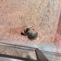 -酷嗒动物文化乐园(cutezoo西溪乐天城店)