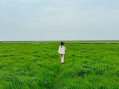 -鄱阳湖国家湿地公园