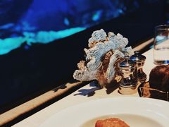 -迪拜帆船酒店海底餐厅