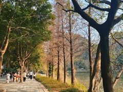 -星湖旅游景区七星岩