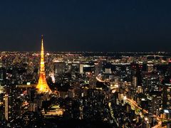 -六本木新城展望台(东京城市景观)