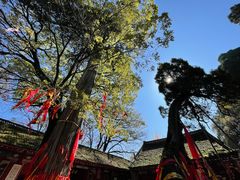 -少华山国家森林公园