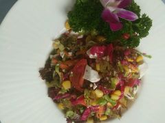 -伊斯坦布尔土耳其清真咖啡餐厅