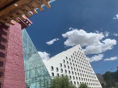 -拉萨圣地天堂洲际大饭店-自助餐厅