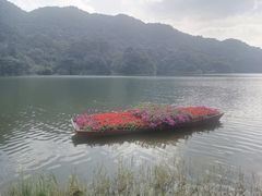 -广州市石门国家森林公园