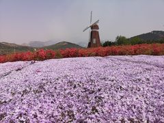 -西海岸生态观光园