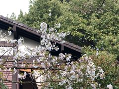 -中国茶叶博物馆(双峰馆区)